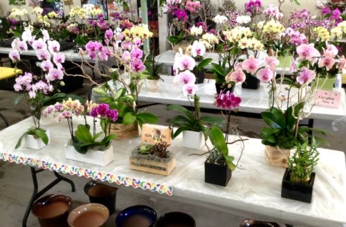Store-View-500x328.jpg